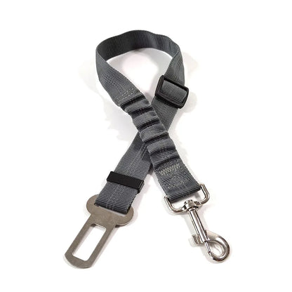 Mshoppr - Ceinture pour chien