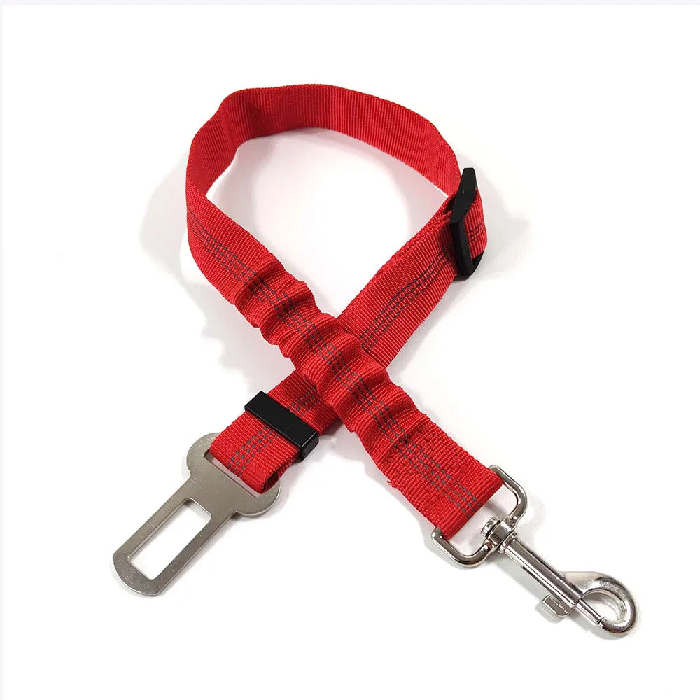 Mshoppr - Ceinture pour chien