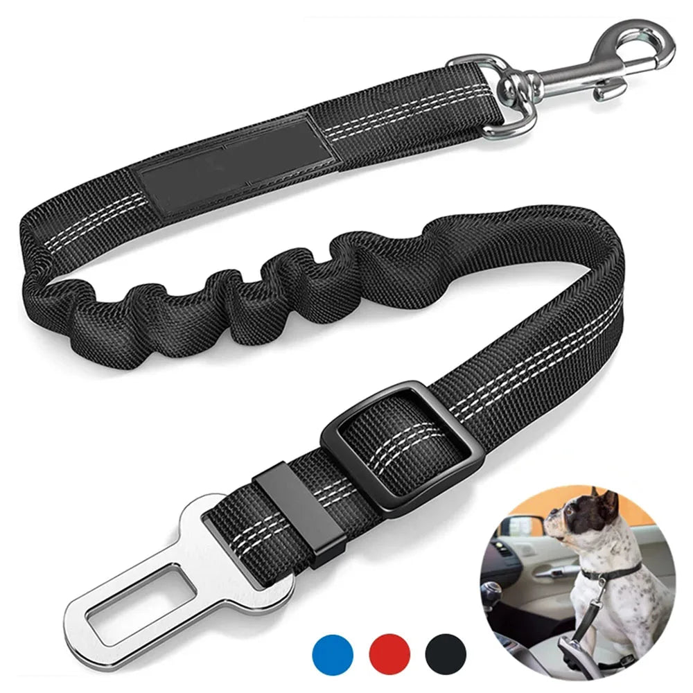 Mshoppr - Ceinture pour chien